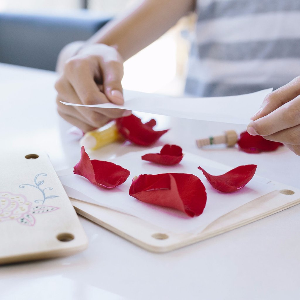 Seedling Beauty and The Beast Kit, Kids Crafts, Seedling Craft Kits