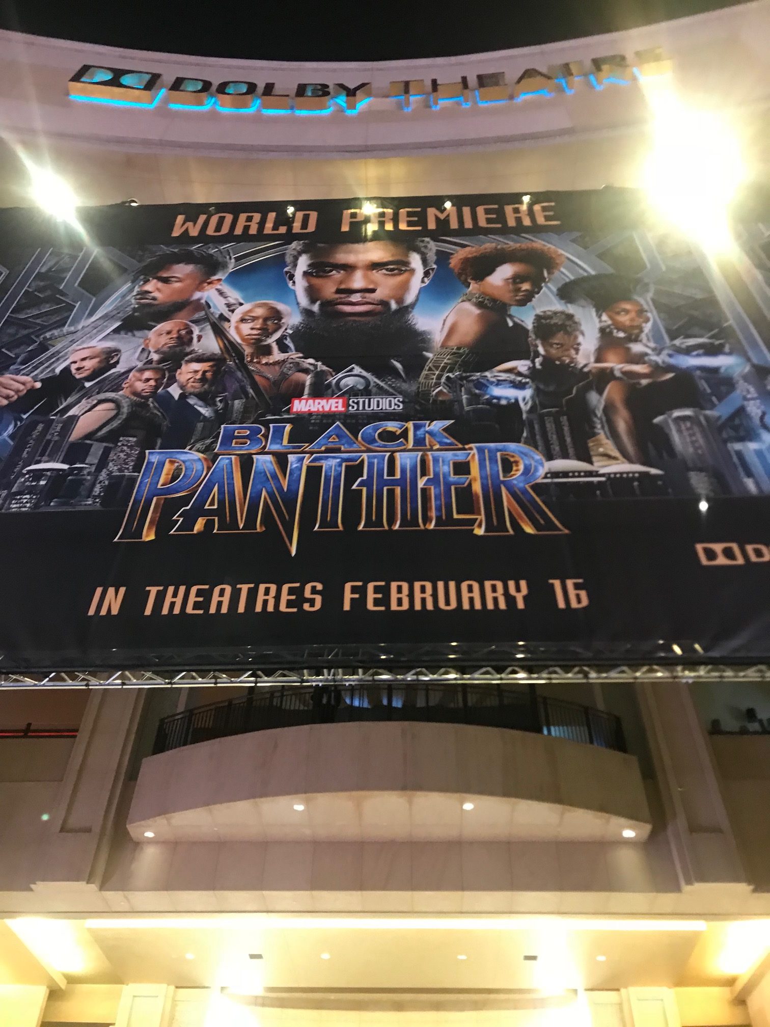 Black Panther World Premiere, The Black Panther Movie Premiere, What's it like attending a Marvel movie premiere, The Black Panther Review